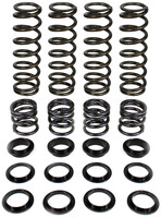 ZBROZ Dual Rate Spring Kit