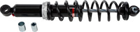 SP1 Ski Shock