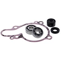 Water Pump Repair Kit