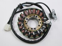 RICK'S MOTORSPORT ELECTRIC Stator