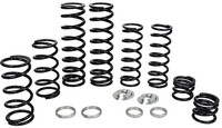ZBROZ Dual Rate Spring Kit