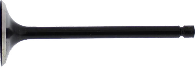Exhaust Valve