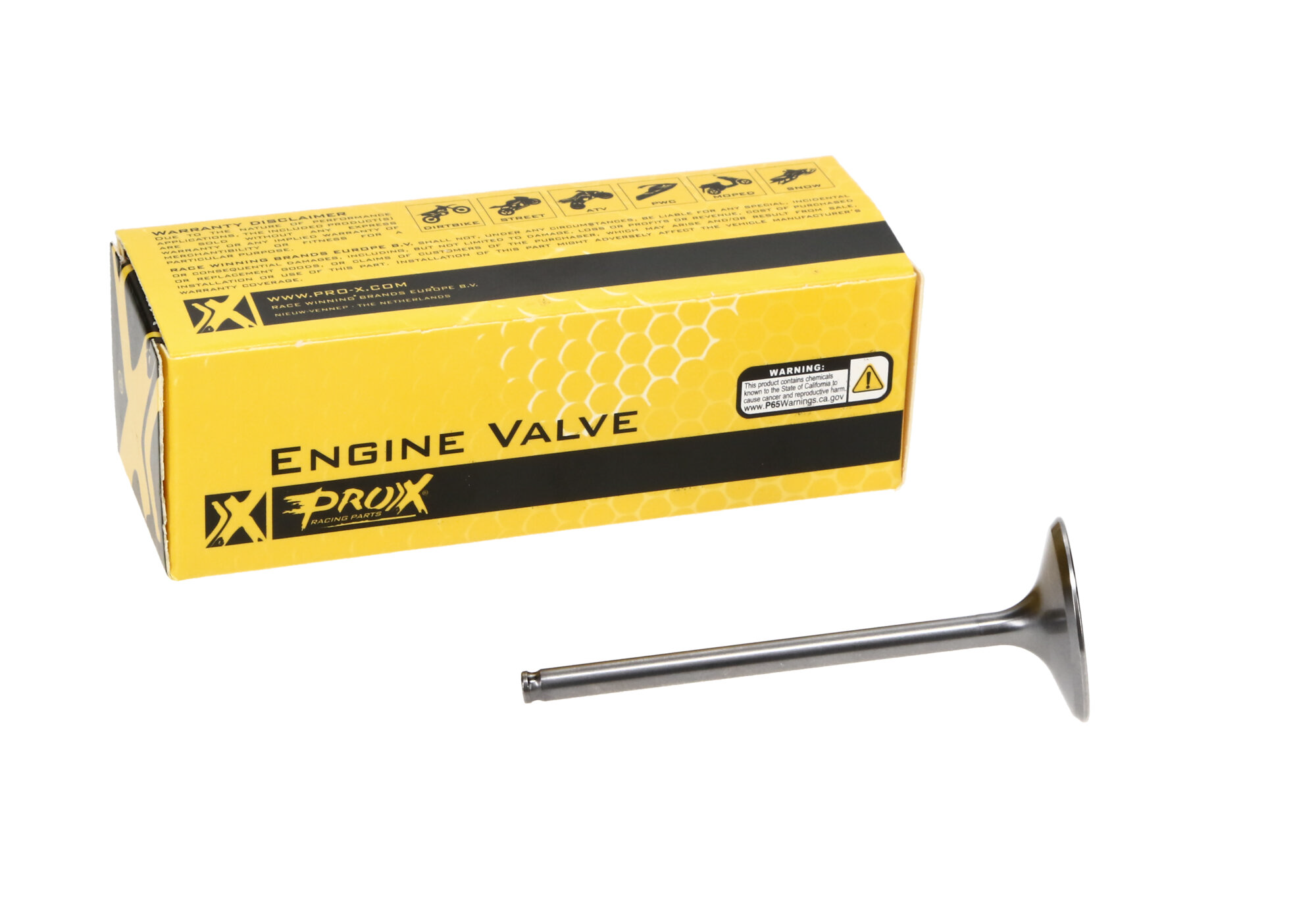 Intake Valve