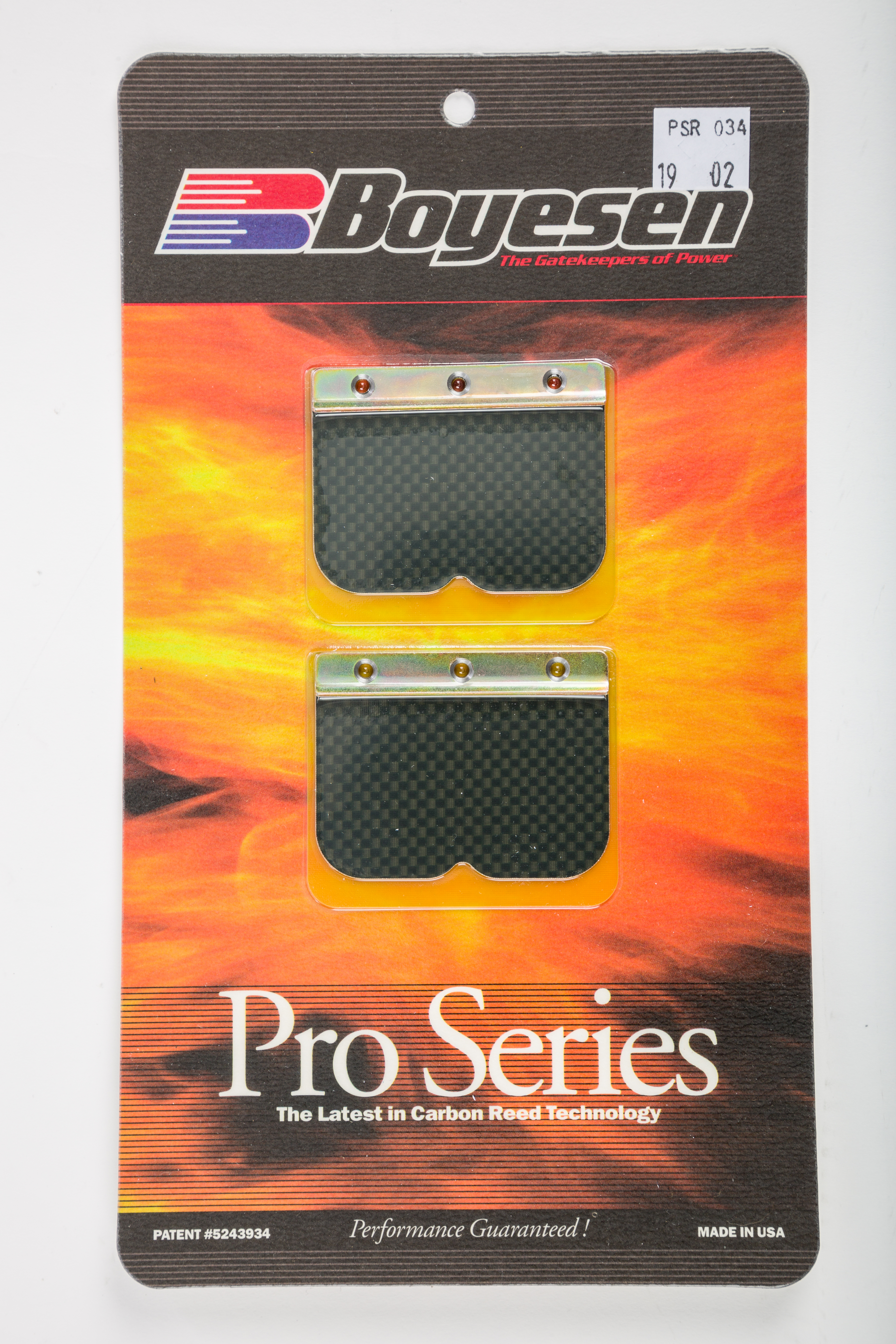 BOYESEN Rad Valve Pro Reed - View 1