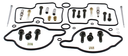 Carburetor Rebuild Kit