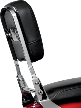 Paladin Quickset Backrest