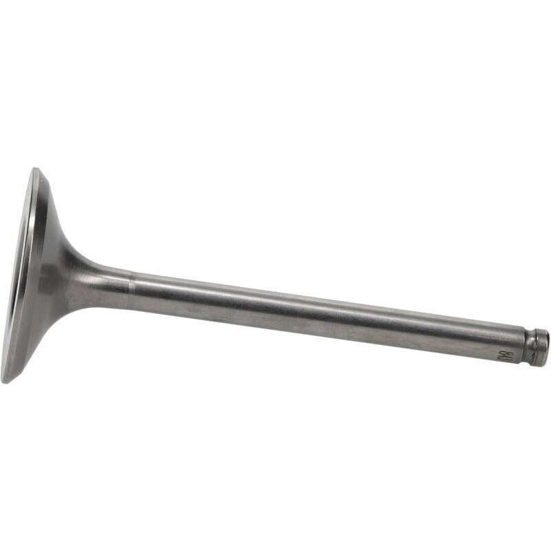 Exhaust Valve