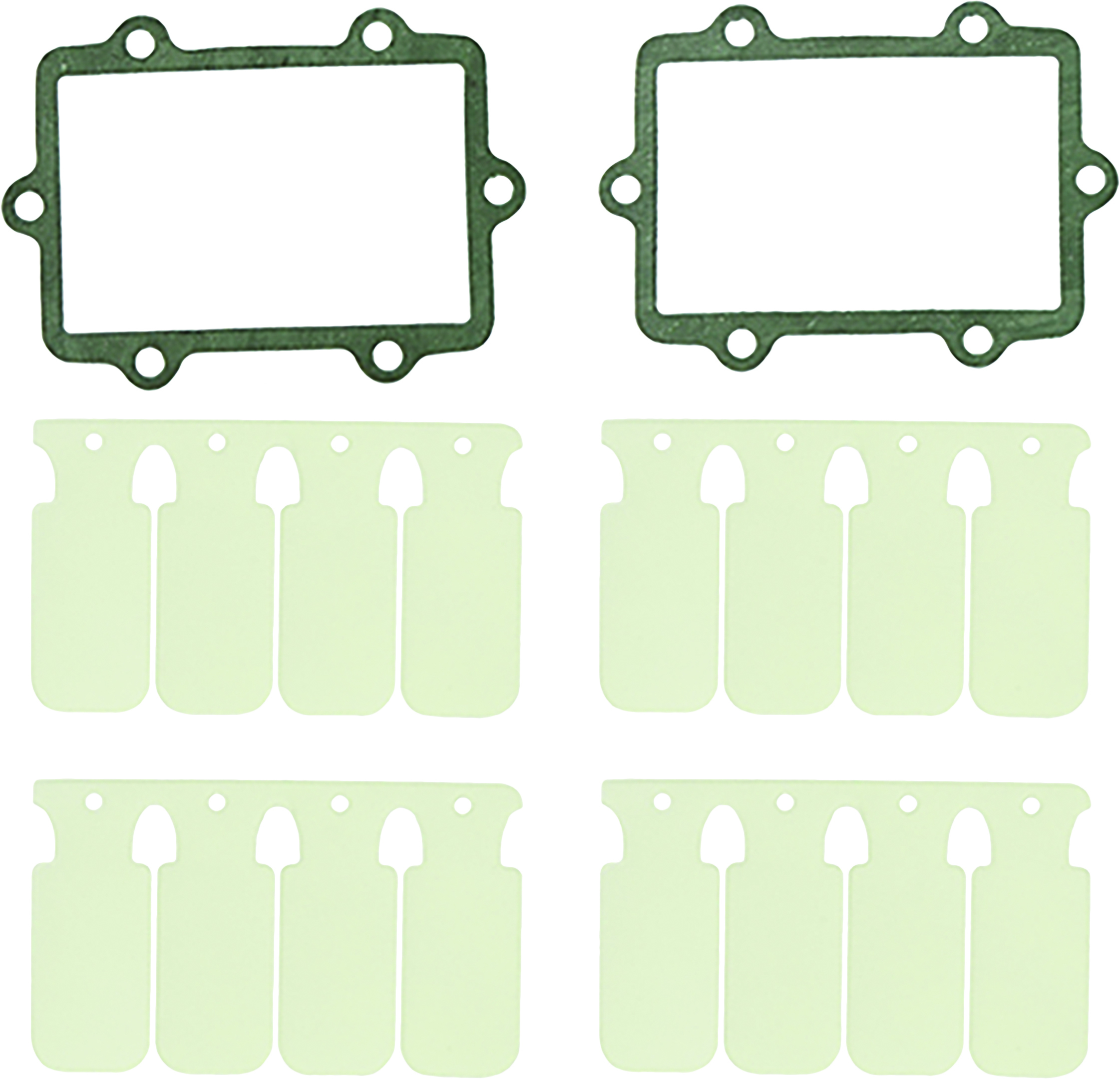 Reed Valve Rebuild Kit