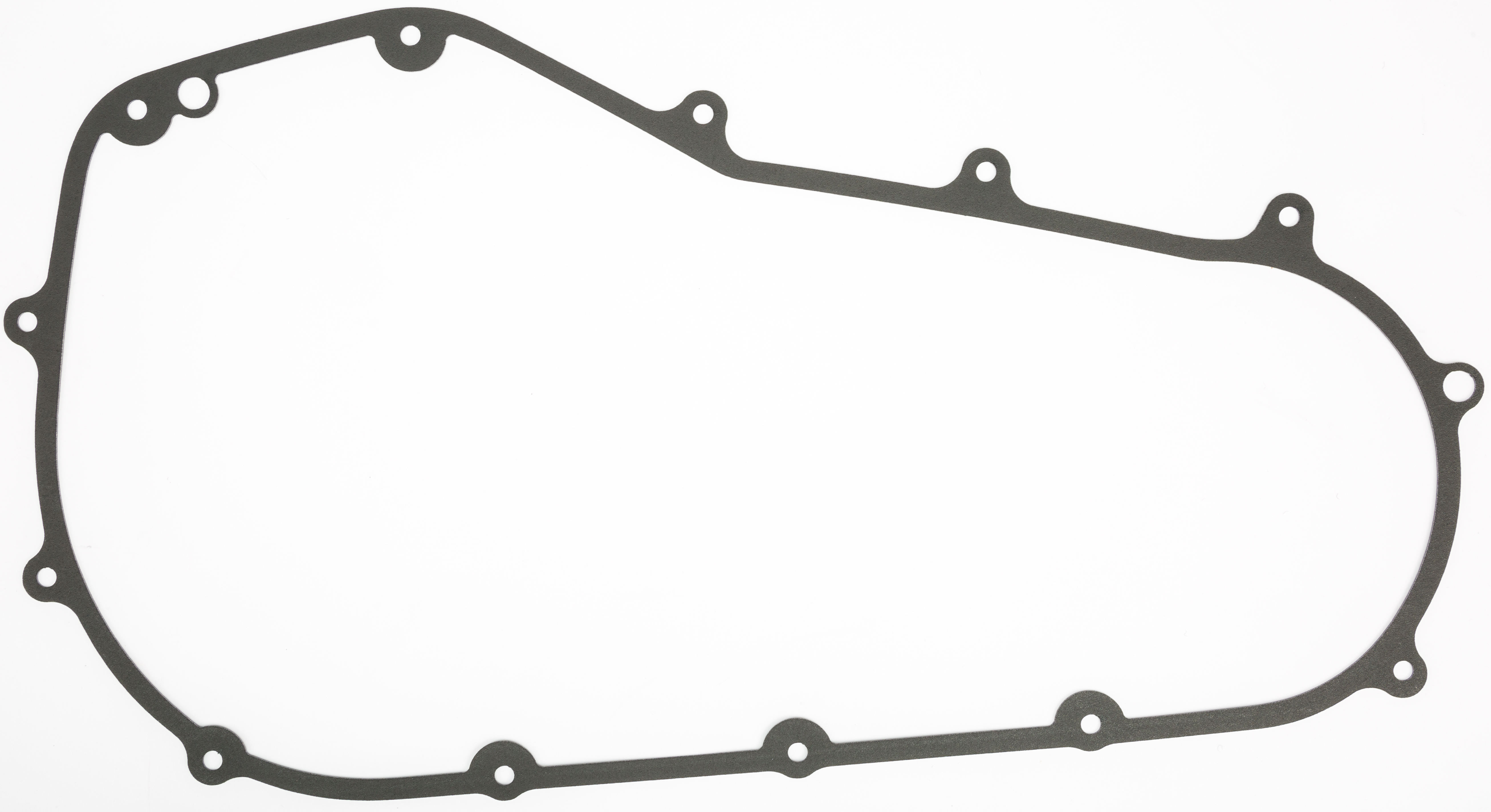Primary Housing Gasket