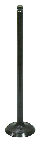 Exhaust Valve
