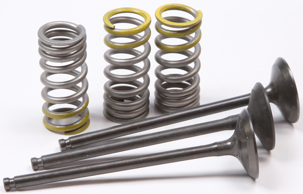 Steel Intake Spring Kit