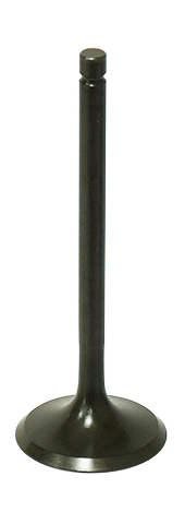 Intake Valve