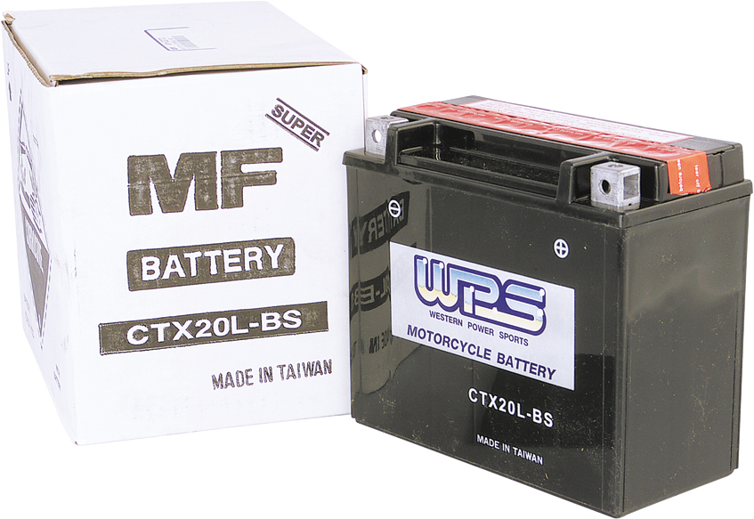 WPS USE 49-2300 BATTERY MAINT FREE - View 1