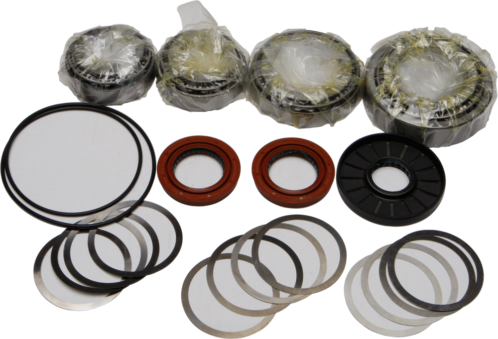 Differential Bearing & Seal Kit