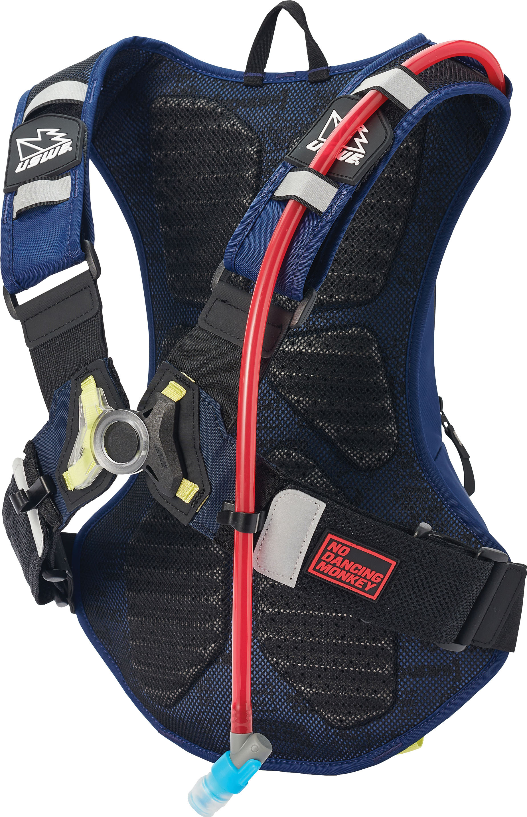 Raw 12 Hydration Pack PNP Tube
