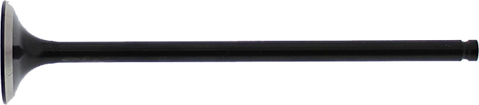 Exhaust Valve