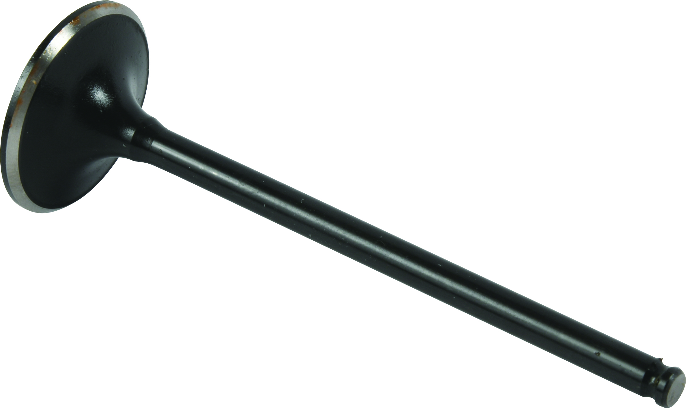Exhaust Valve