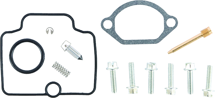Carburetor Repair Kit