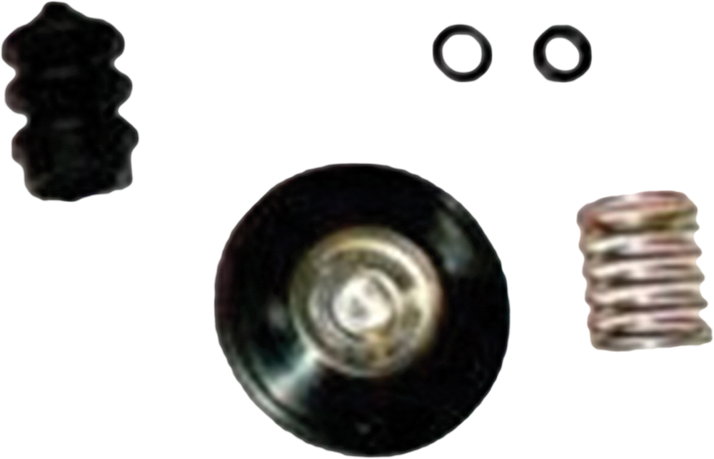 CYCLE PRO Accelerator Pump Rebuild Kit - View 1