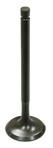 Exhaust Valve