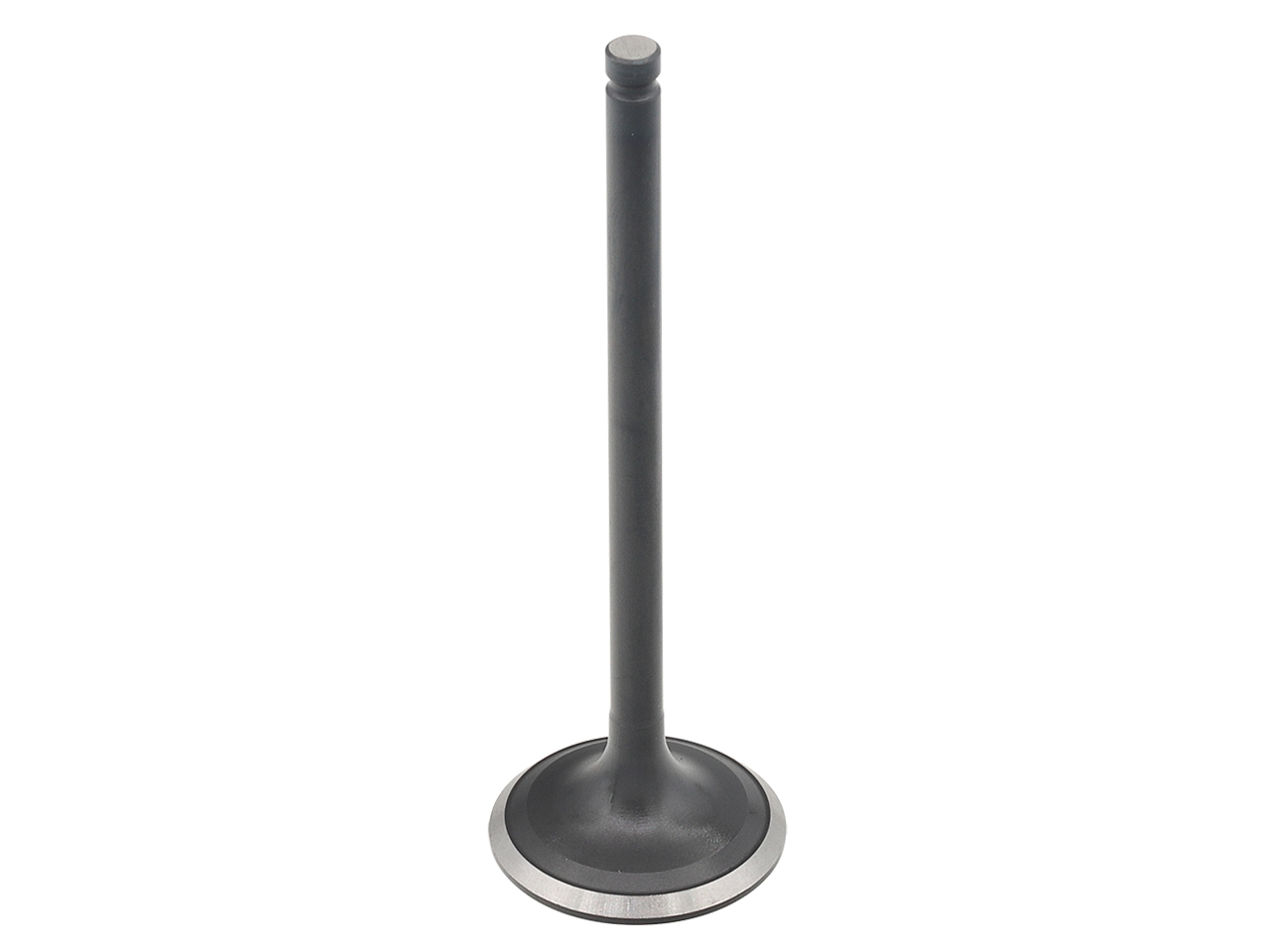 Exhaust Valve