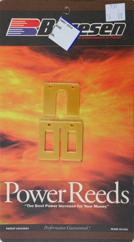 BOYESEN Dual Stage Power Reeds - View 1