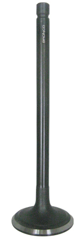 Intake Valve