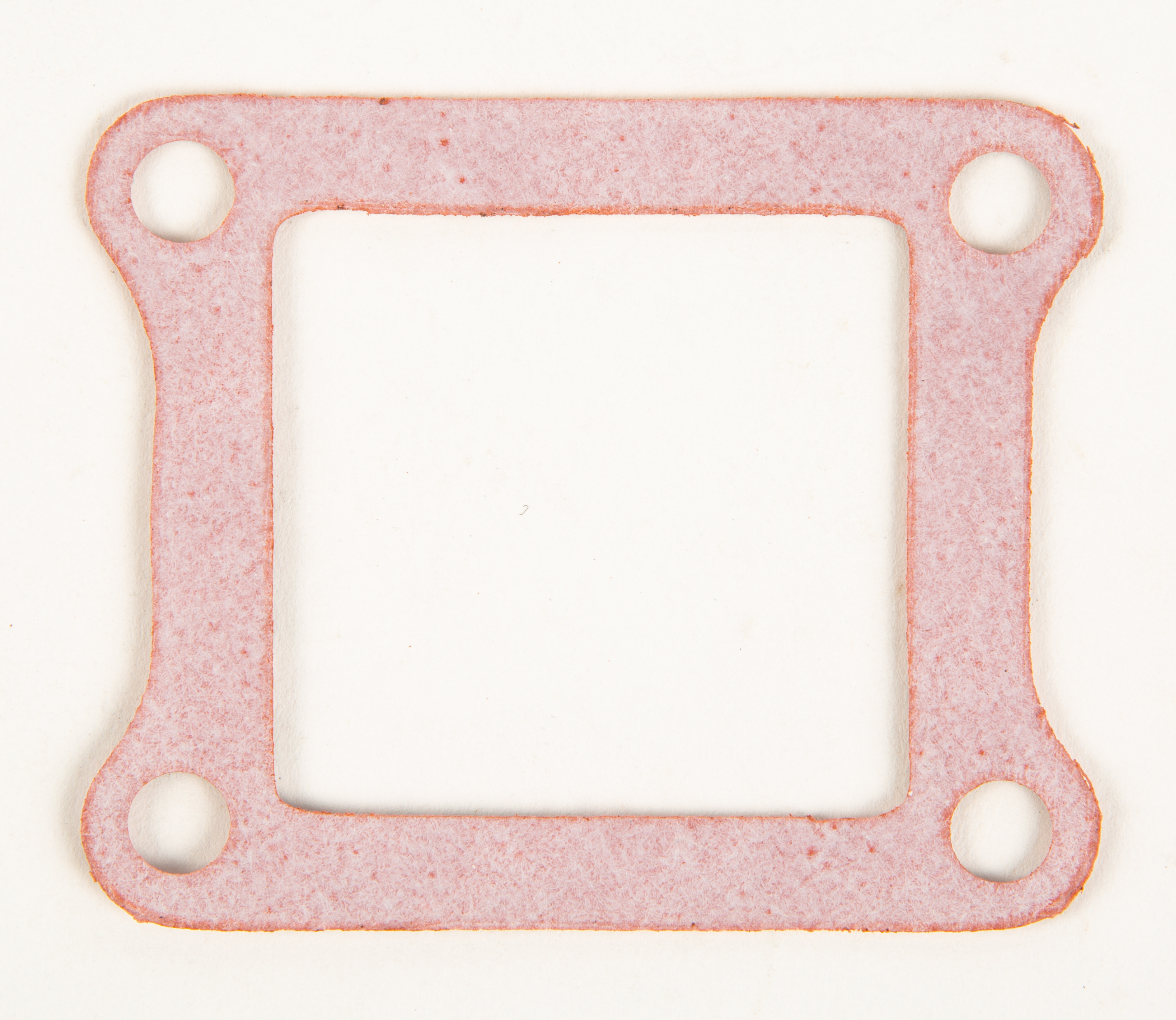 Rad Valve Gasket