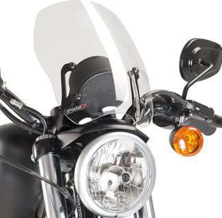Naked New Gen Windscreen