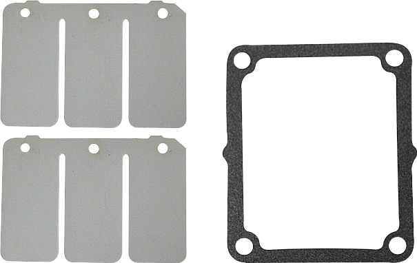 Reed Valve Rebuild Kit