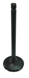 Exhaust Valve