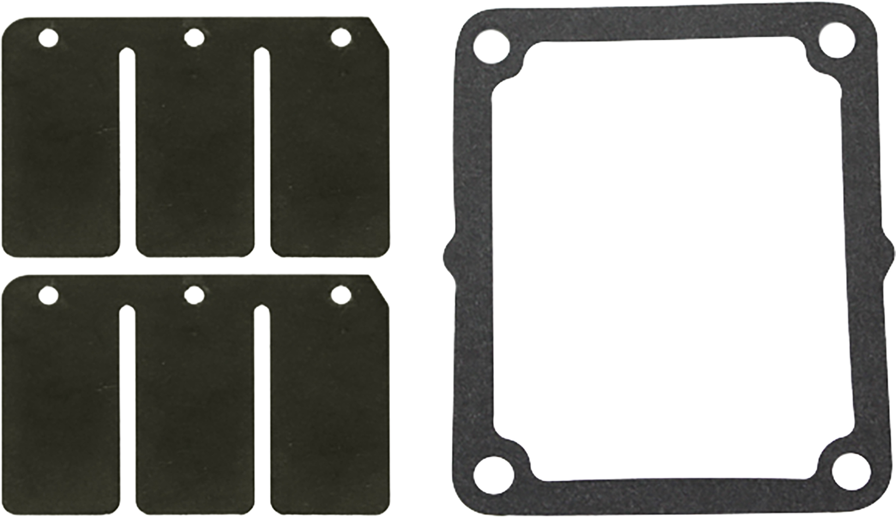 Reed Valve Rebuild Kit
