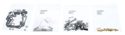 Carburetor Rebuild Kit