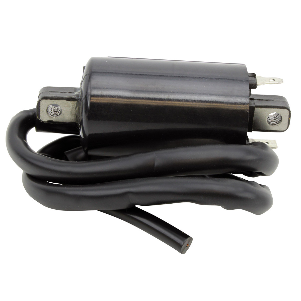 External Ignition Coils