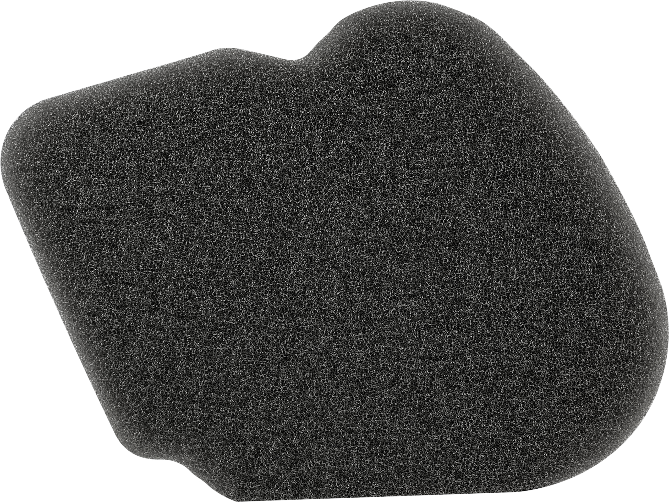 Dual Stage Foam Air Filters