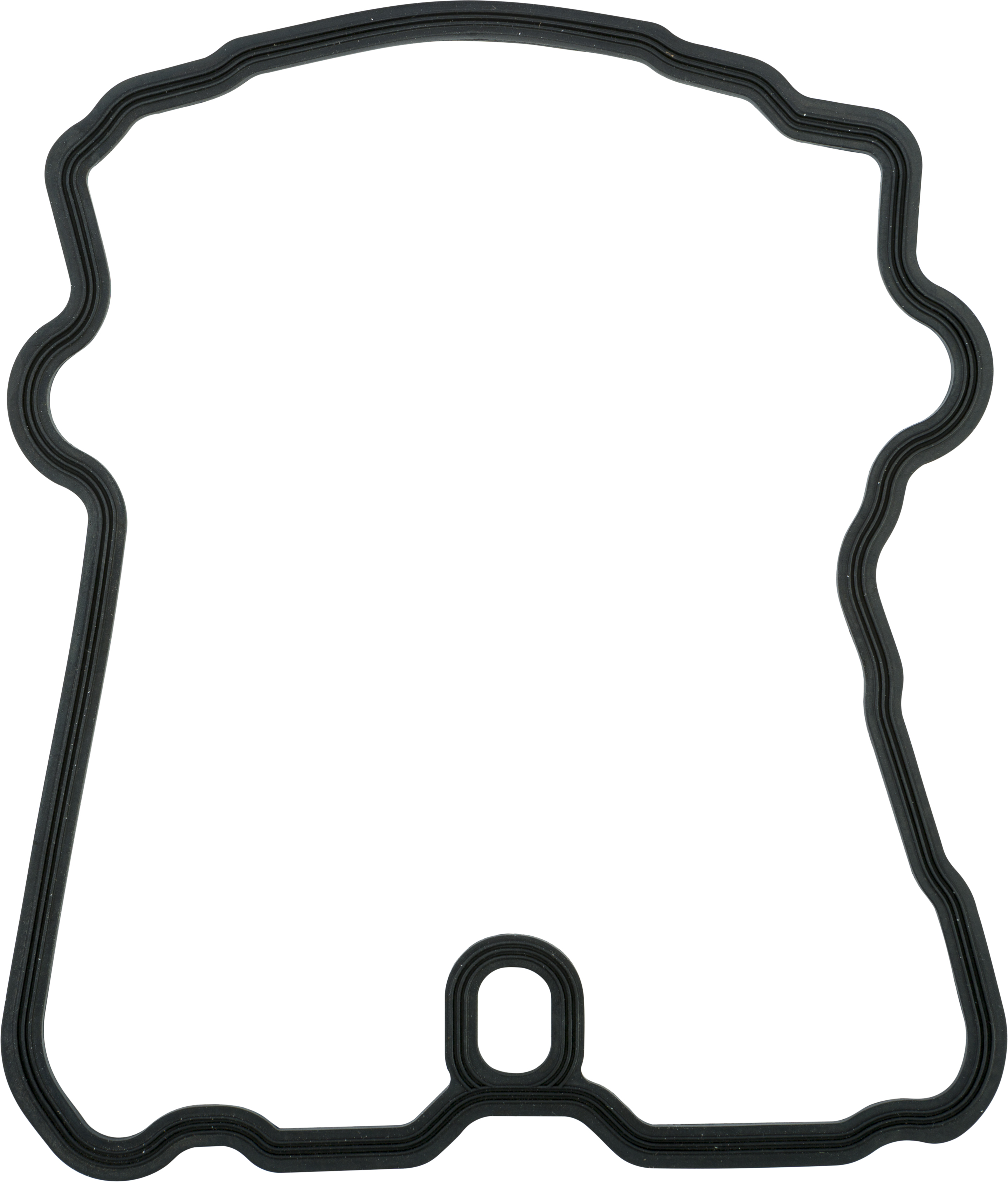 Valve Cover Gasket