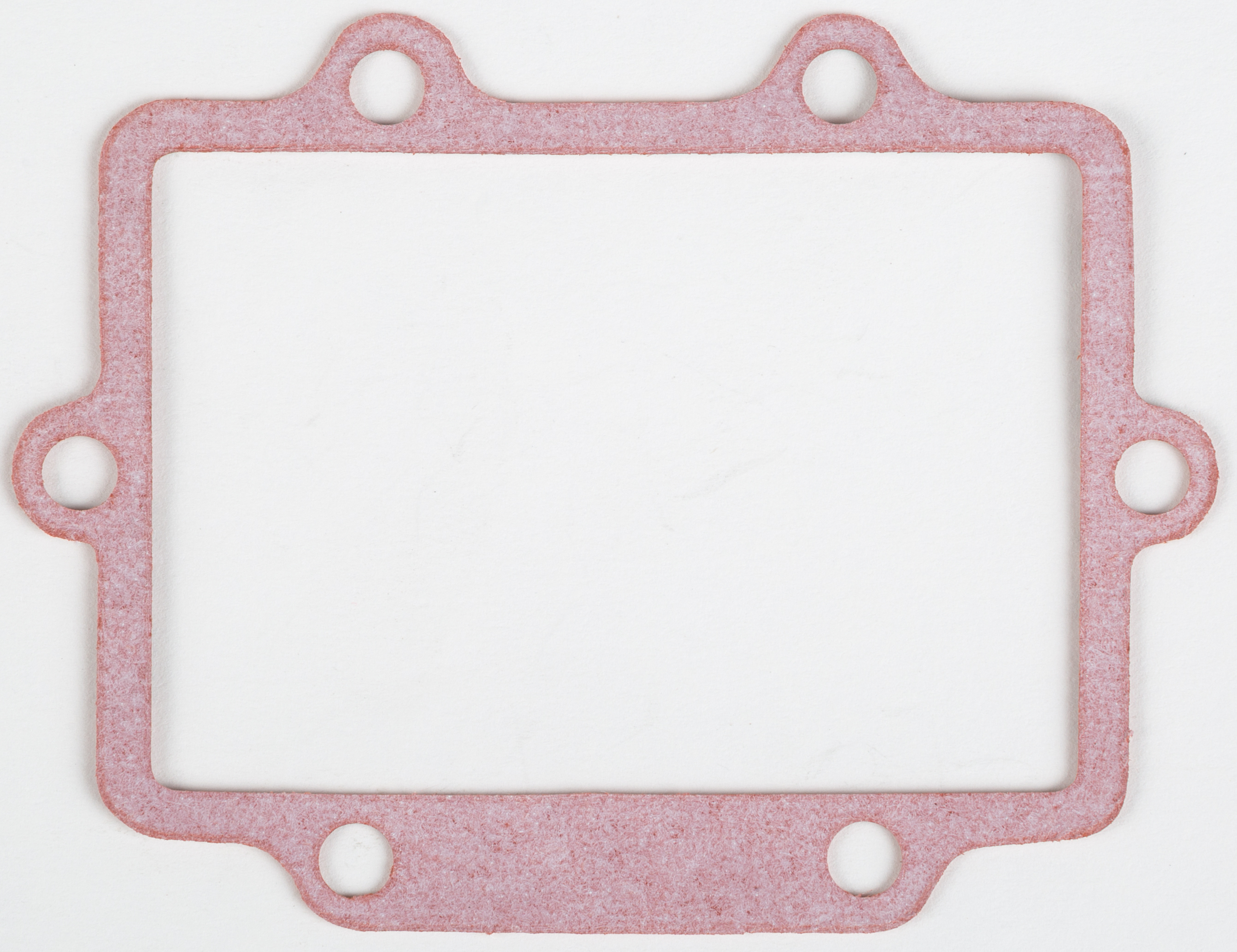 Rad Valve Gasket