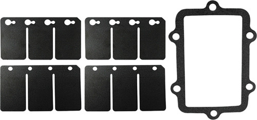 SP1 REED VALVE REBUILD KIT S-D