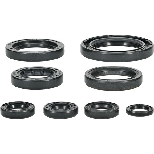 VERTEX Oil Seal Set