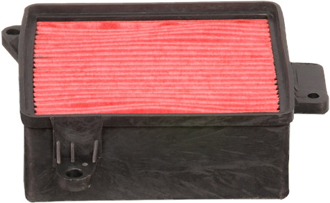 HIFLOFILTRO Air Filter