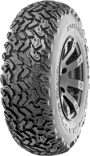 MAXXIS WorkZone Tire