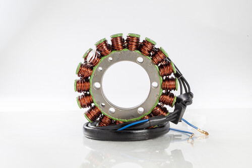 RICK'S MOTORSPORT ELECTRIC Stator