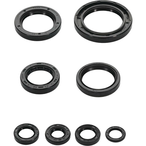 VERTEX Oil Seal Set