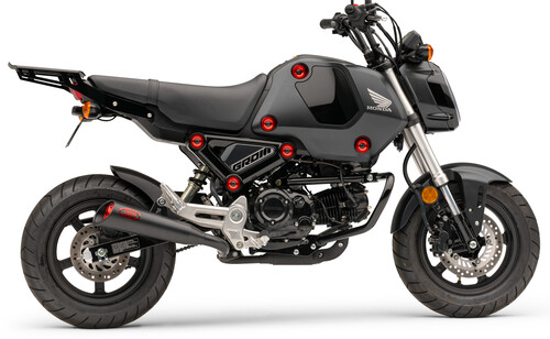 COBRA Solo luggage rack