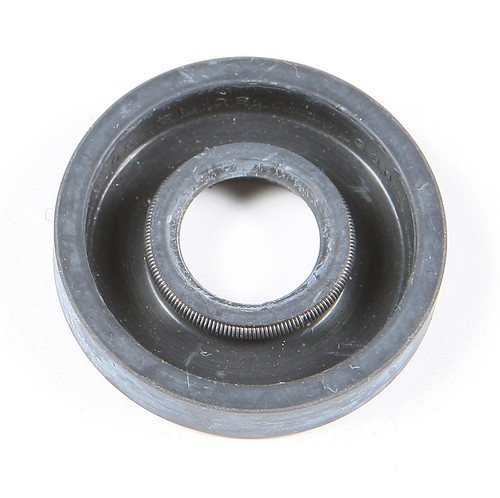 SP1 Oil Seal
