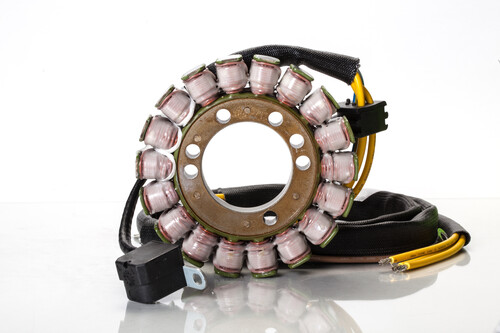 RICK'S MOTORSPORT ELECTRIC Stator