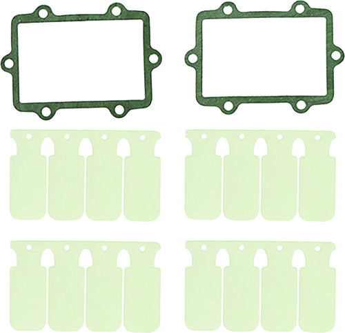 SP1 Reed Valve Rebuild Kit