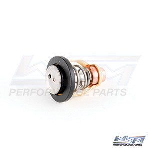 WSM Thermostat