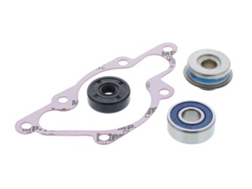 SP1 WATER PUMP REPAIR KIT S-D