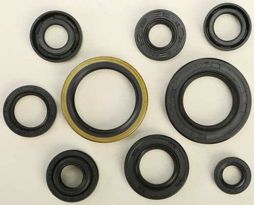 VERTEX Oil Seal Kit